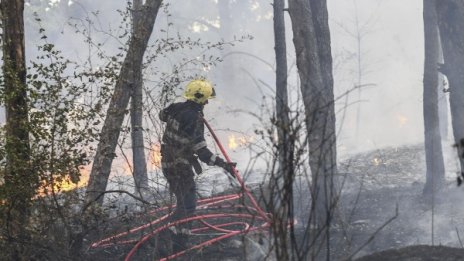 Пожар горя в парк "Бакаджика" в Ямбол 