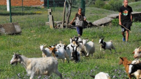 Селото на баба Дора под блокада: Полицията изведе доброволците