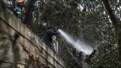 Властите за пожара в Гърция: Следите водят към умишлен палеж