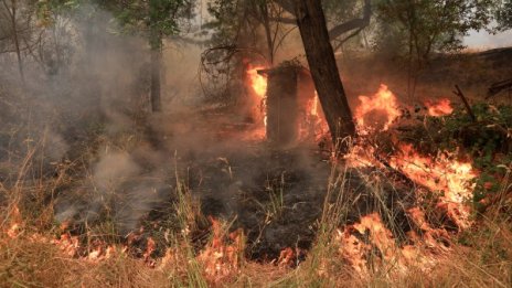 Вятър разпалва ада в Калифорния, дъжд гаси в Швеция