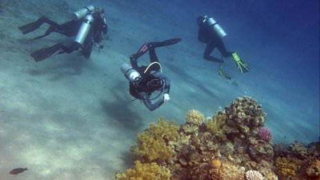 Акула уби турист в египетски курорт на Червено море