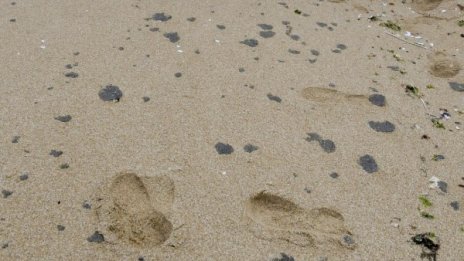 Спокойно! Няма замърсяване на водата край Созопол