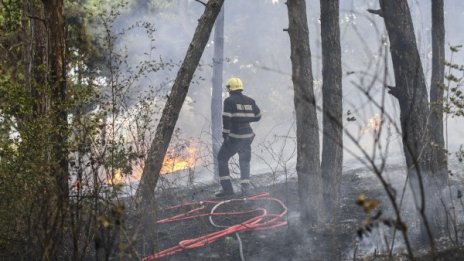 40 дка гора гори над Карлово