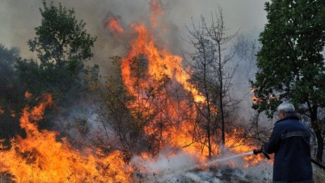 500 декара гори и лозя горят край Баня