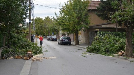 Ветровете у нас – нормални. Полезни, чистят въздуха!