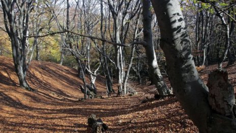 Времето през уикенда: Есенно слънце с температури до 24°С