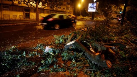 "Лесли" вилня и остави хиляди без ток в Португалия