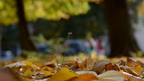 Времето утре: Облаци, мъгли, на места и дъжд