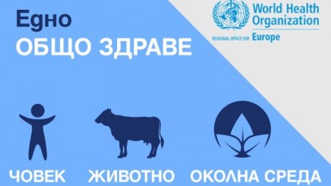 Или мислим за "Едно общо здраве", или антибиотиците просто ще спрат да действат