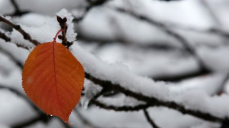 Студ в петък, идва по-топъл уикенд. Идната седмица – до 10°C!