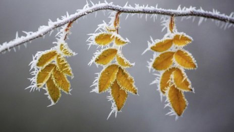 На места: Дъжд и сняг в последния ден на годината