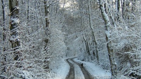 Понеделник – валежи от сняг, във вторник сутринта -17°C