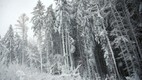 В петък градусите скачат над нулата, в събота до - 9°C 