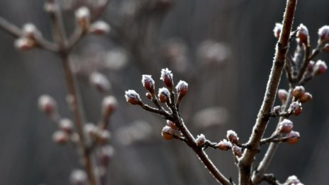 Уикендът пролетен, градусите гонят 12°C