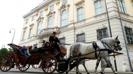 Пластмасови "обувки" за конете във Виена