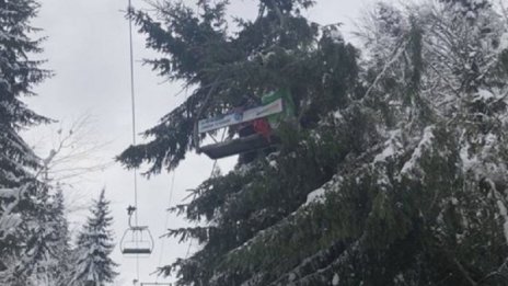 Дърво падна върху лифт в Пампорово, три жени пострадаха