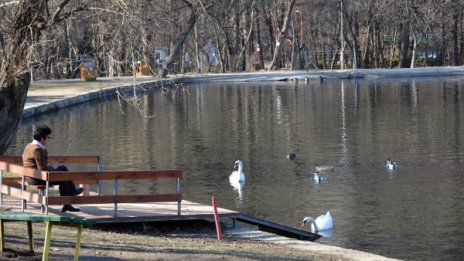 Времето в сряда – студено: На места дъжд, на други - сняг