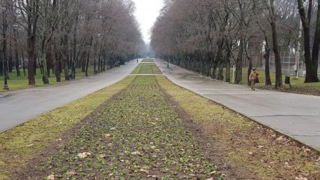 В последния ден на работната седмица: Слънчево, но хладно