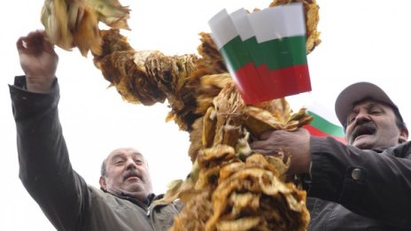 Тютюнопроизводители протестираха срещу гръцка фирма