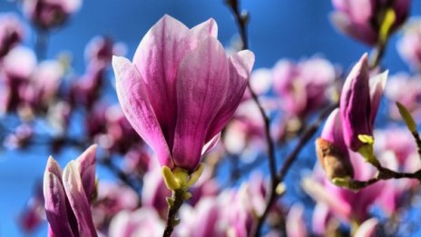 Топло и слънчево в петък, градусите до 23°