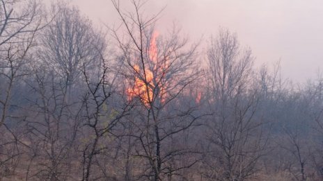 Възрастен мъж загина при пожар в радомирско село