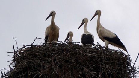 Петъкът с валежи. Слънце и топло време през уикенда