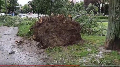 Бурен вятър изкорени дървета, създаде хаос в Загреб 