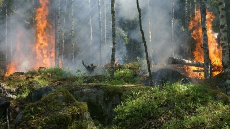 Голям пожар гори на втория ръкав на Халкидики - Ситония