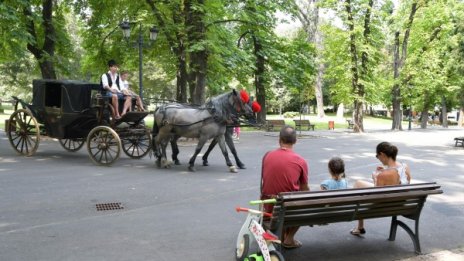 Фандъкова: Ще запазя Борисовата градина каквато са я оставили