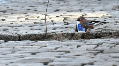 Незрящи жени паднаха в необезопасена дупка във Варна