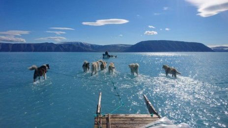 Климатичните аномалии в Арктика: Вместо нормалните 4°C цели 21°C