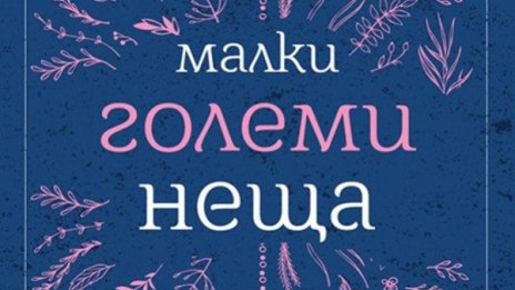 Предраздъдъци и омраза в "Малки големи неща" 