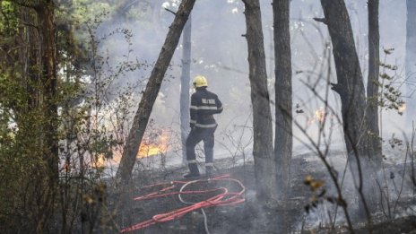 Багер предизвика пожар в района на двореца "Кричим" 