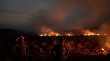 Зад пожарите в Амазония - световният апетит за говеждо и соя от Бразилия