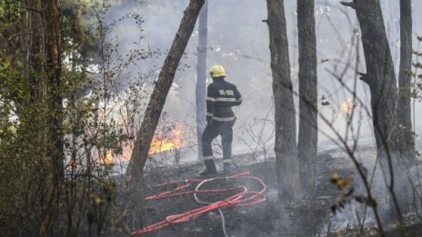 Над 300 декара гора се запали между две села в Новозагорско 