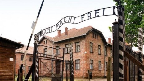 Arbeit macht frei – лагерите на нацистите преди газовите камери