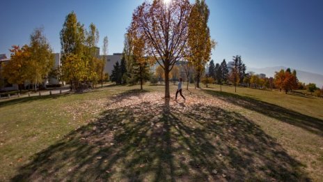 Четвъртък започва с мъгли, после градусите скачат до 27°C