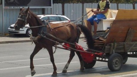 Пияни изпуснаха фас в каруца, подпалиха я, едва спасиха коня