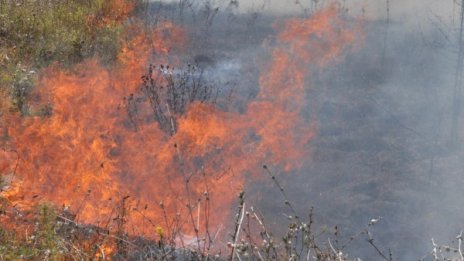 И хеликоптер гаси пожара в Рила, горят 400 дка гора и храсти 