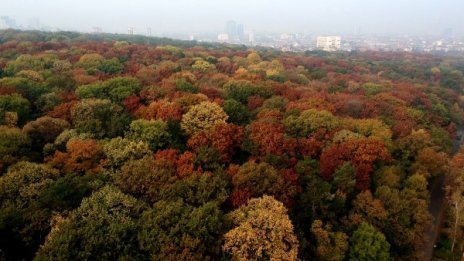 Времето във вторник: Мъглива сутрин, слънчев следобед