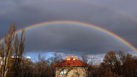 Денят в снимки - 29 ноември