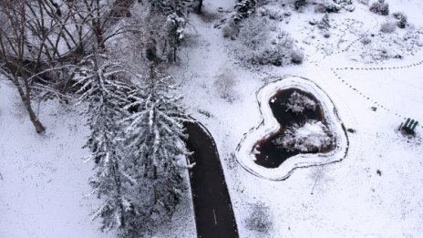 Денят в снимки - 4 декември