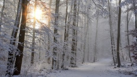 Астрономическата зима дойде в неделя в 6,19 ч.