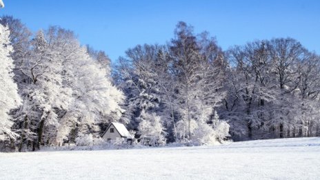 Изпращаме годината със слънце, в нощта срещу 1-ви до 4°C