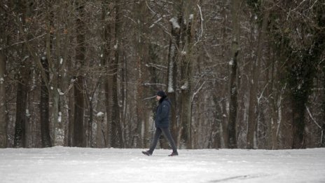 В последния ден на 2019 г.: Температурите до 8 градуса