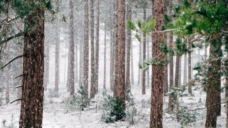 В понеделник сутринта градусите падат до -9°C