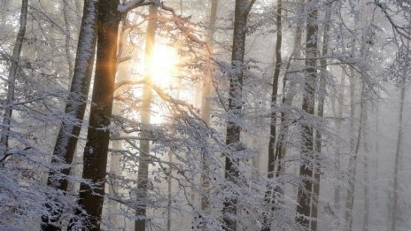 В събота ще е облачно, но пък градусите ще са до 13°C