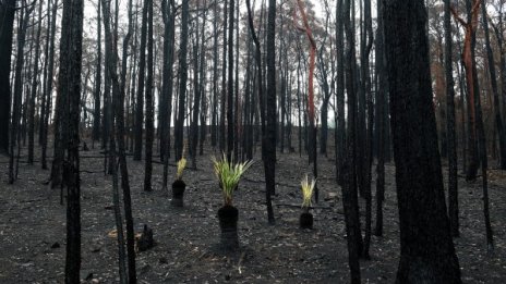 Ученици от Търговище събират пари за Австралия