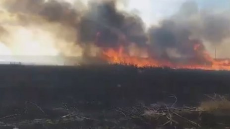 Пожар горя в част от Дуранкулашкото езеро 