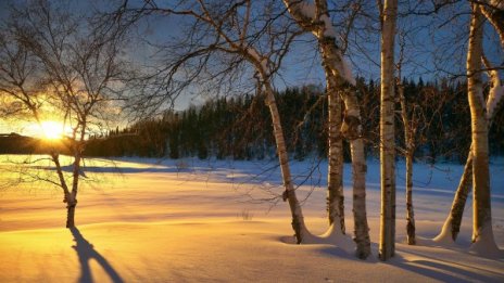 Слънчево и топло в неделя, градусите на места до 14°C